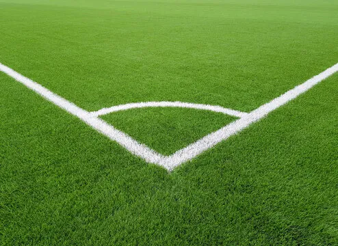 华体会体育团队